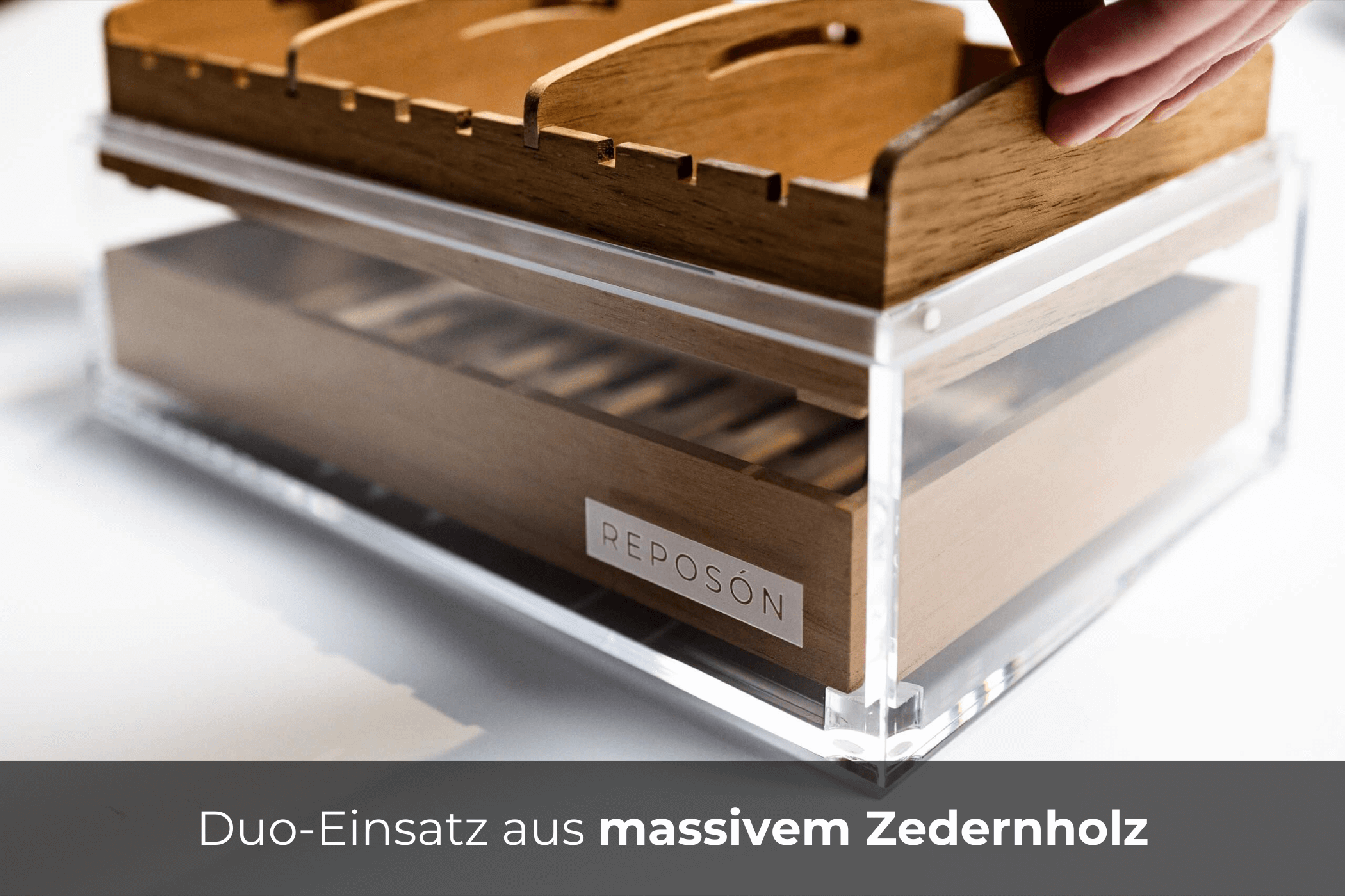 reposon-humidor-vista-duo-acryl-zedernholz-germany image 2