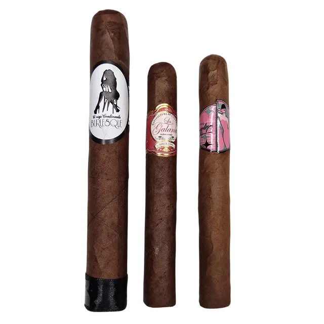 la-galana-ladys-sampler-zigarren-3er-mild image 1