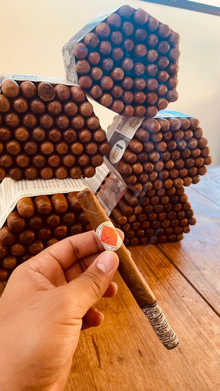 bongani-robusto-zigarren-25er-bundle-mild-cremig image 3