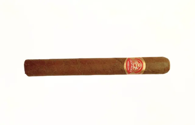 partag-s-petit-corona-especiales-zigarre-einzeln-stark image 1