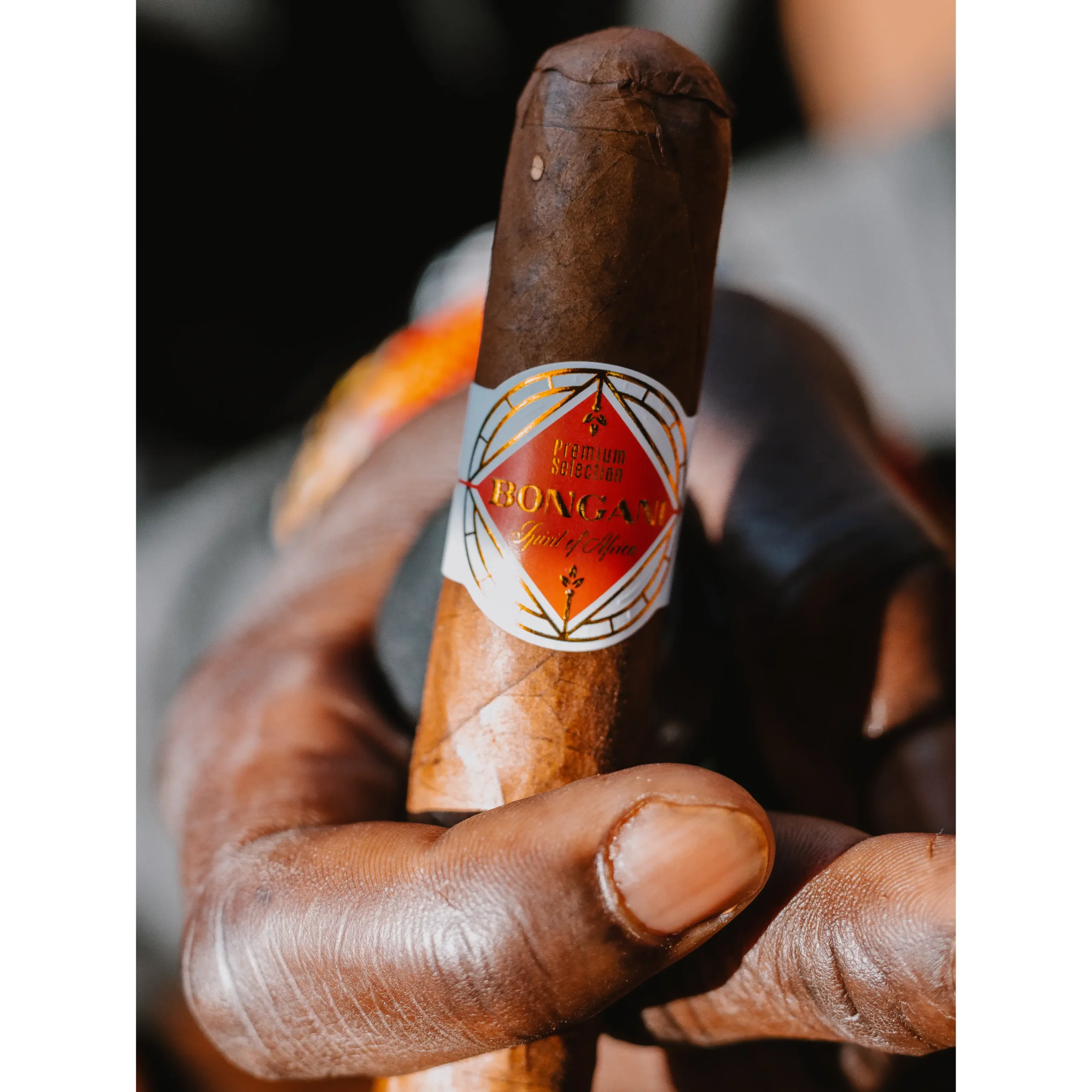 bongani-cigar-samplers-robusto-set-3-st-ck-5x50 image 7