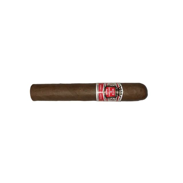 hoyo-de-monterrey-rio-seco-zigarre-robusto-extra-kuba image 1