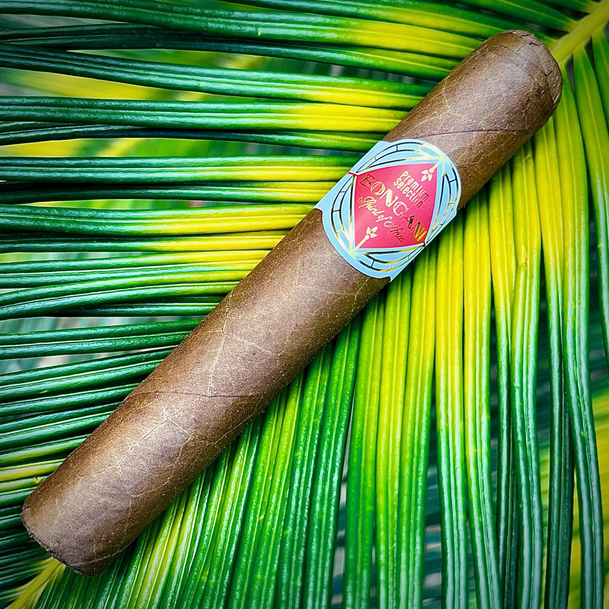 bongani-robusto-zigarre-20er-box-5x50-kakao-kaffee image 2