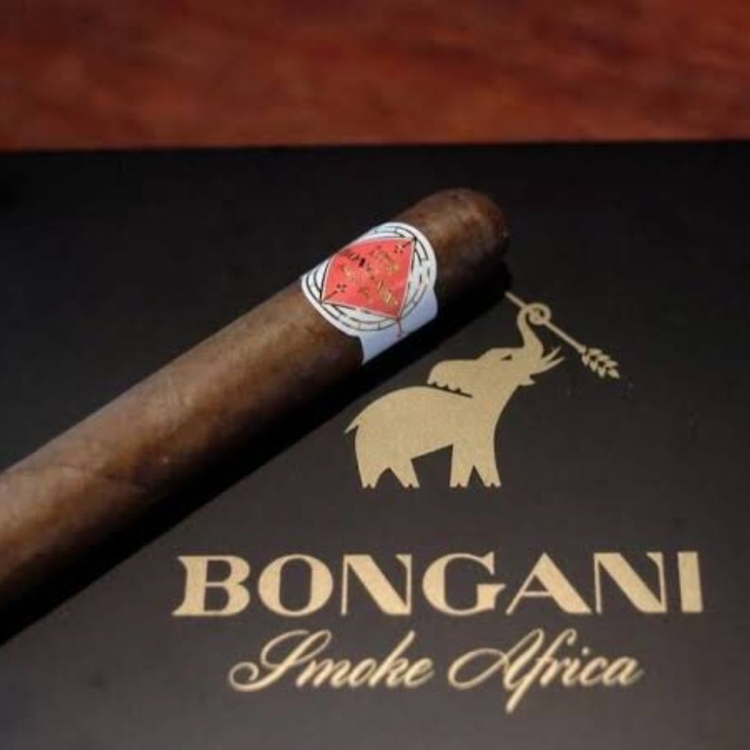 bongani-robusto-zigarre-20er-box-5x50-kakao-kaffee image 4