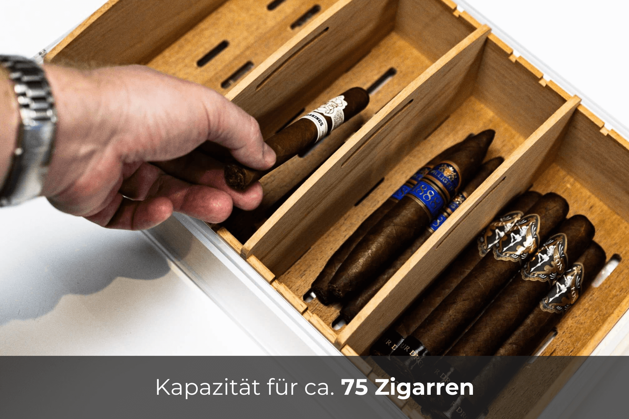 reposon-humidor-vista-xxl-humidor-f-r-75-zigarren-acryl image 5