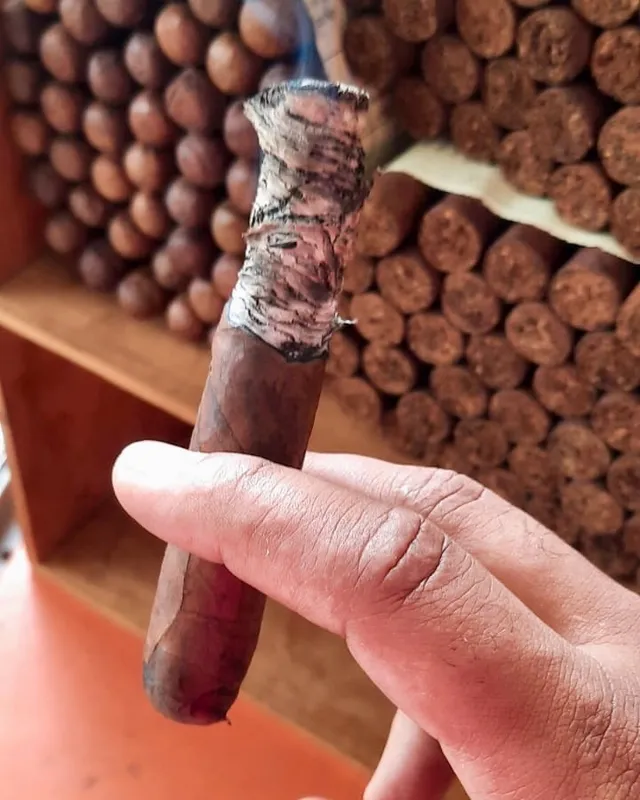 bongani-cigar-samplers-zigarre-ohne-banderole-kakao image 1