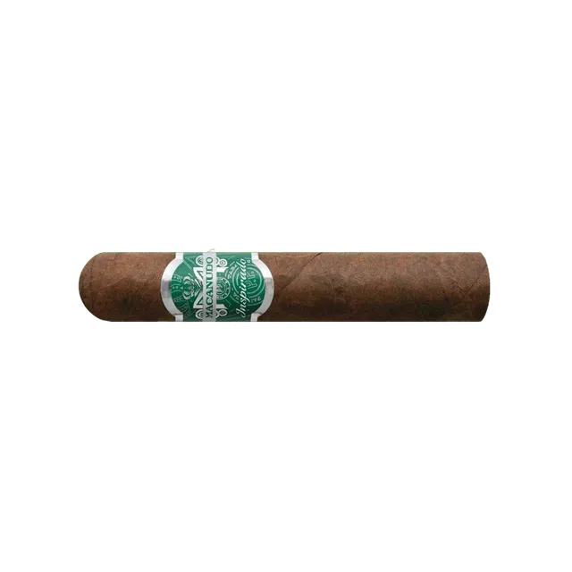 macanudo-inspirado-green-robusto-zigarre-einzeln-cremig image 1