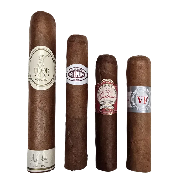 la-galana-einsteiger-sampler-zigarren-set-4er-mild image 1