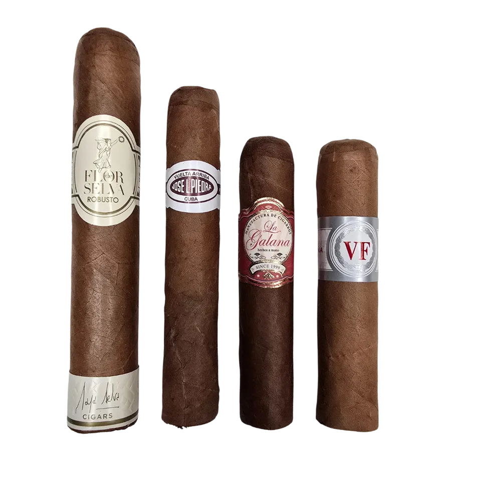 la-galana-einsteiger-sampler-zigarren-set-4er-mild image 1