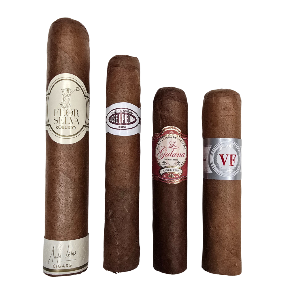la-galana-einsteiger-sampler-zigarren-set-4er-mild image 1