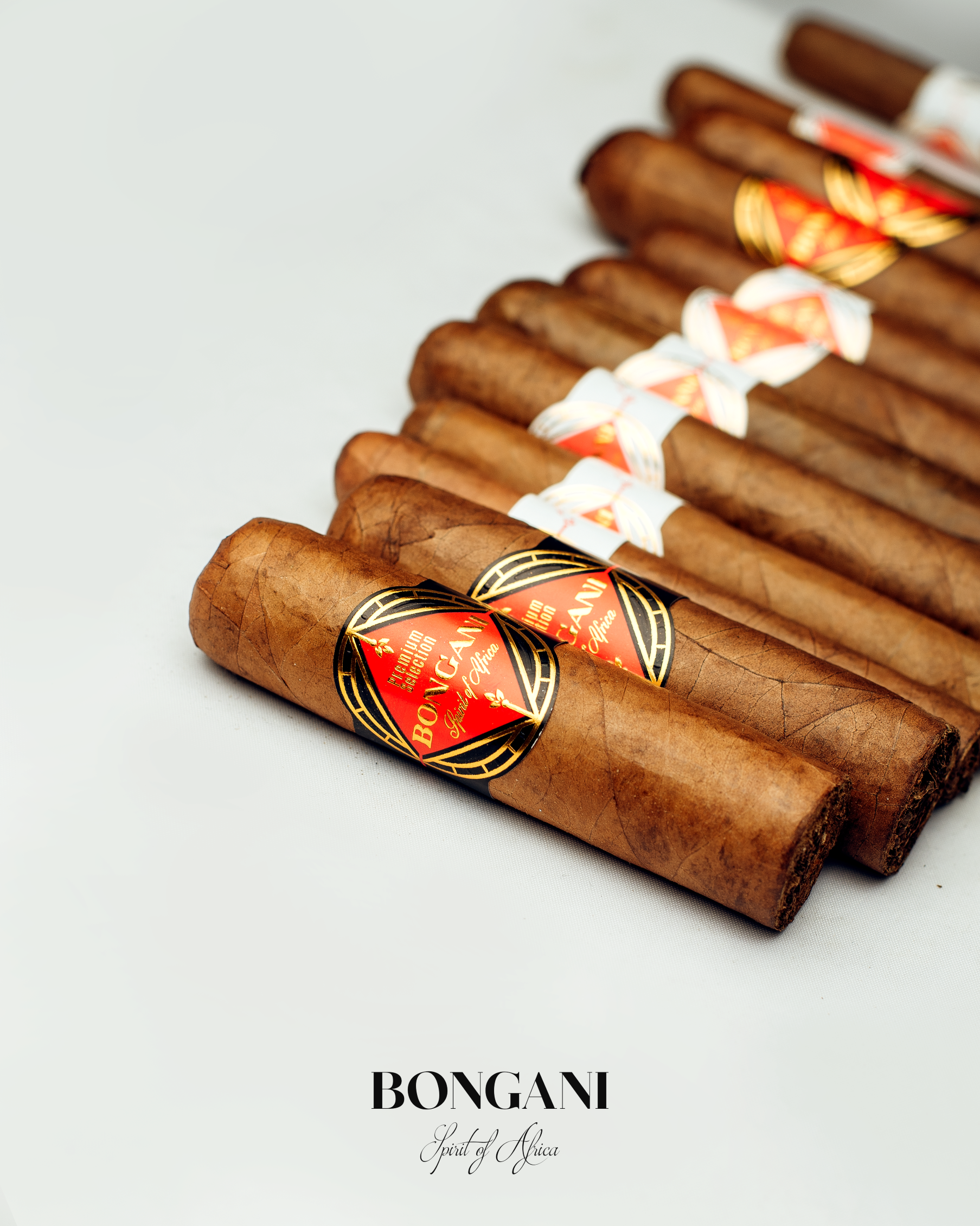 bongani-cigar-samplers-3x-gordo-zigarren-set-mild image 5