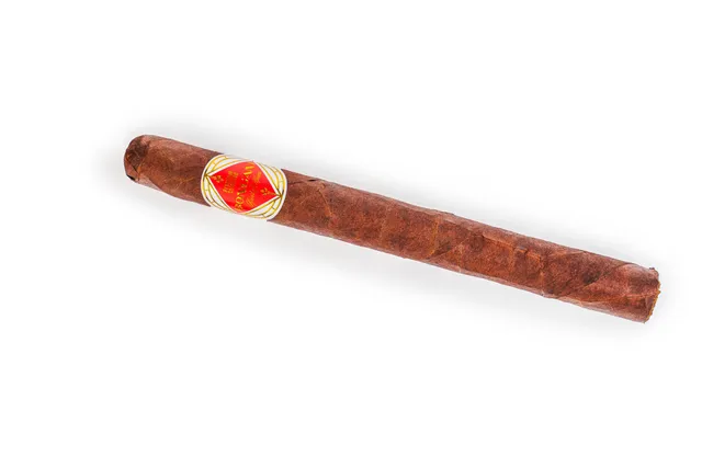 bongani-robusto-lancero-zigarre-einzeln-kakao-kaffee image 1