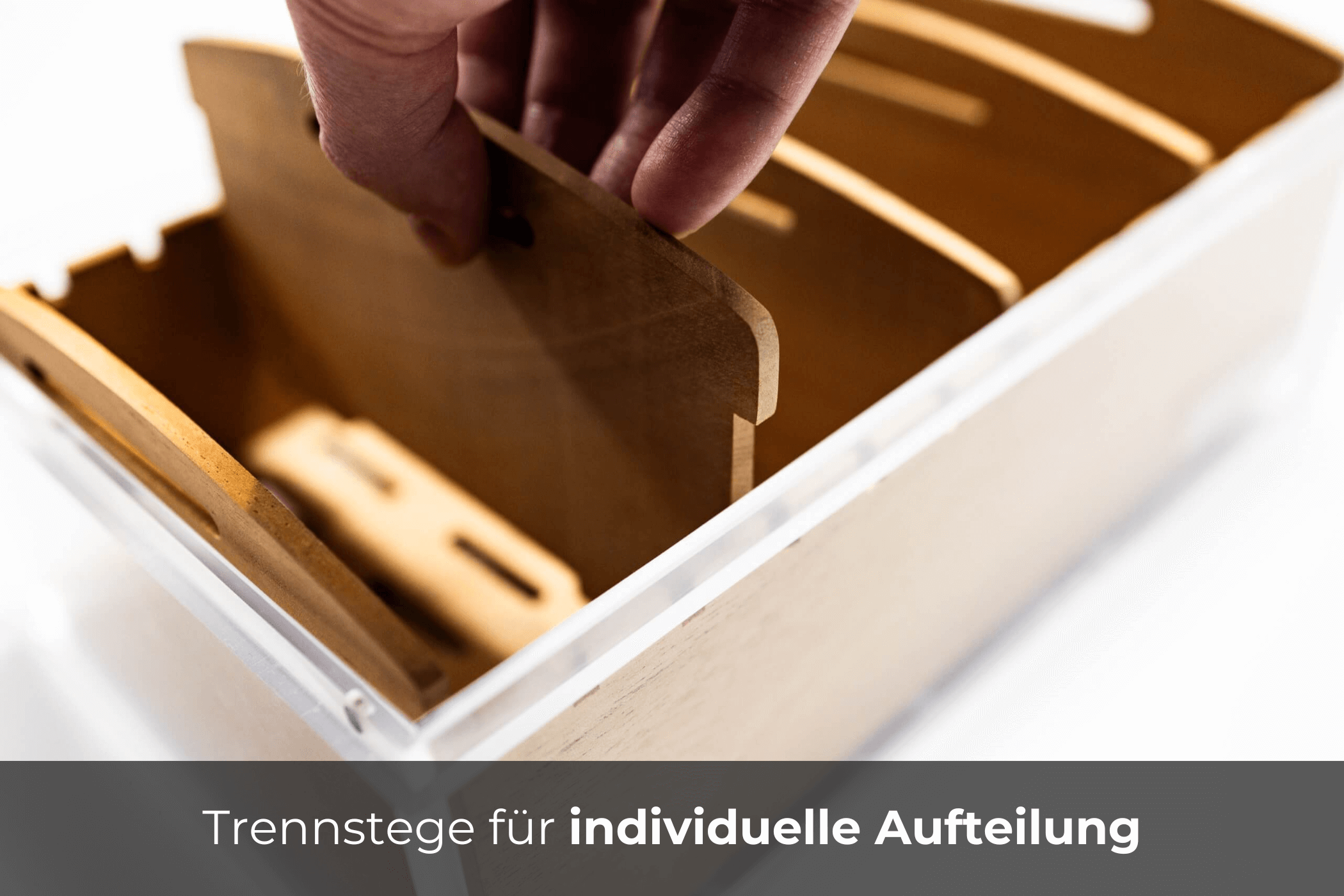 reposon-humidor-vista-classic-humidor-f-r-50-zigarren-zeder image 3