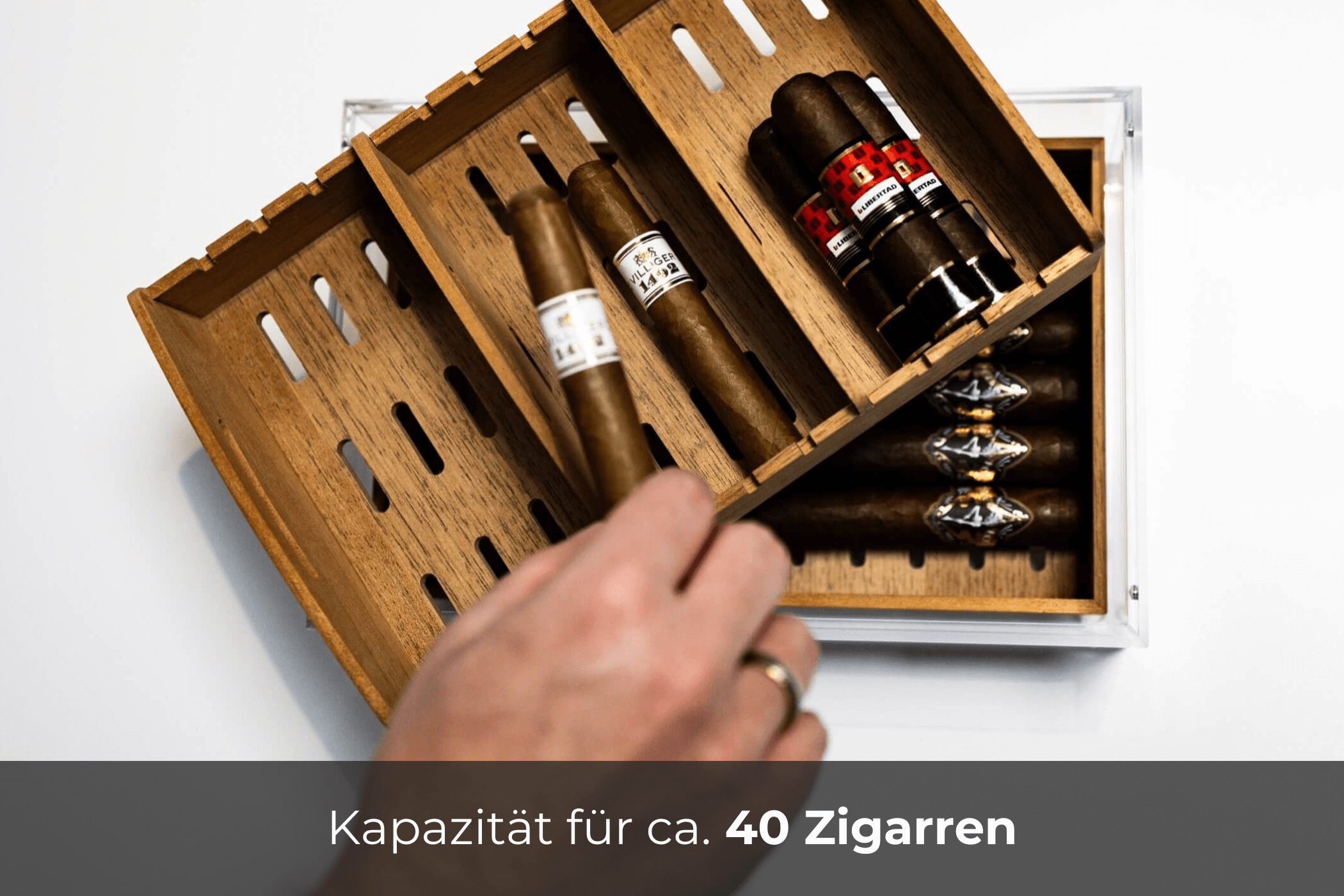 reposon-humidor-vista-duo-acryl-zedernholz-germany image 5