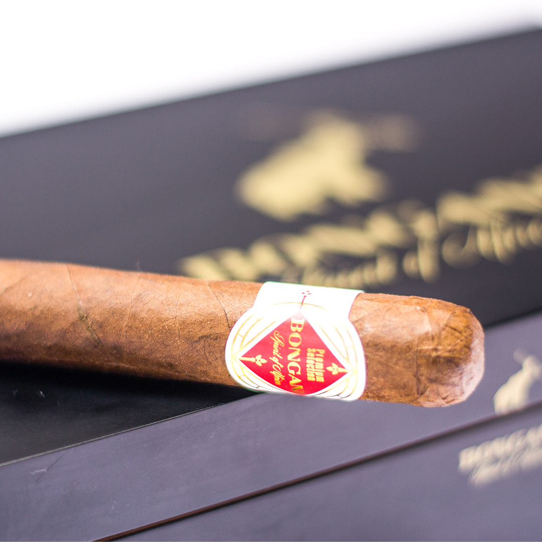 bongani-robusto-zigarre-20er-box-5x50-kakao-kaffee image 3