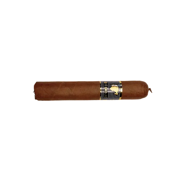 cohiba-behike-52-zigarre-kuba-longfiller-einzeln image 1