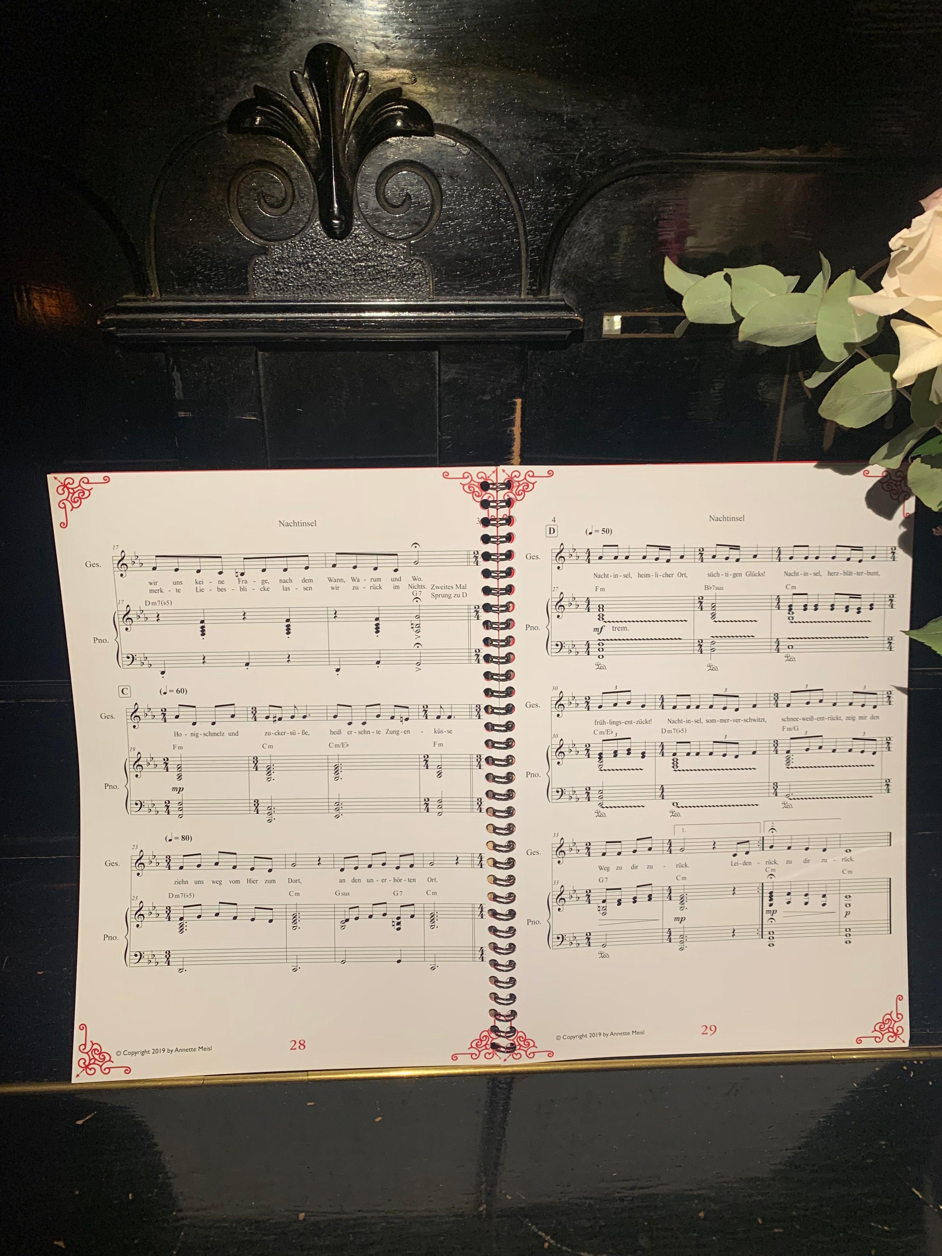 annette-meisl-carmen-5-0-notenheft-10-lieder-klavier image 4