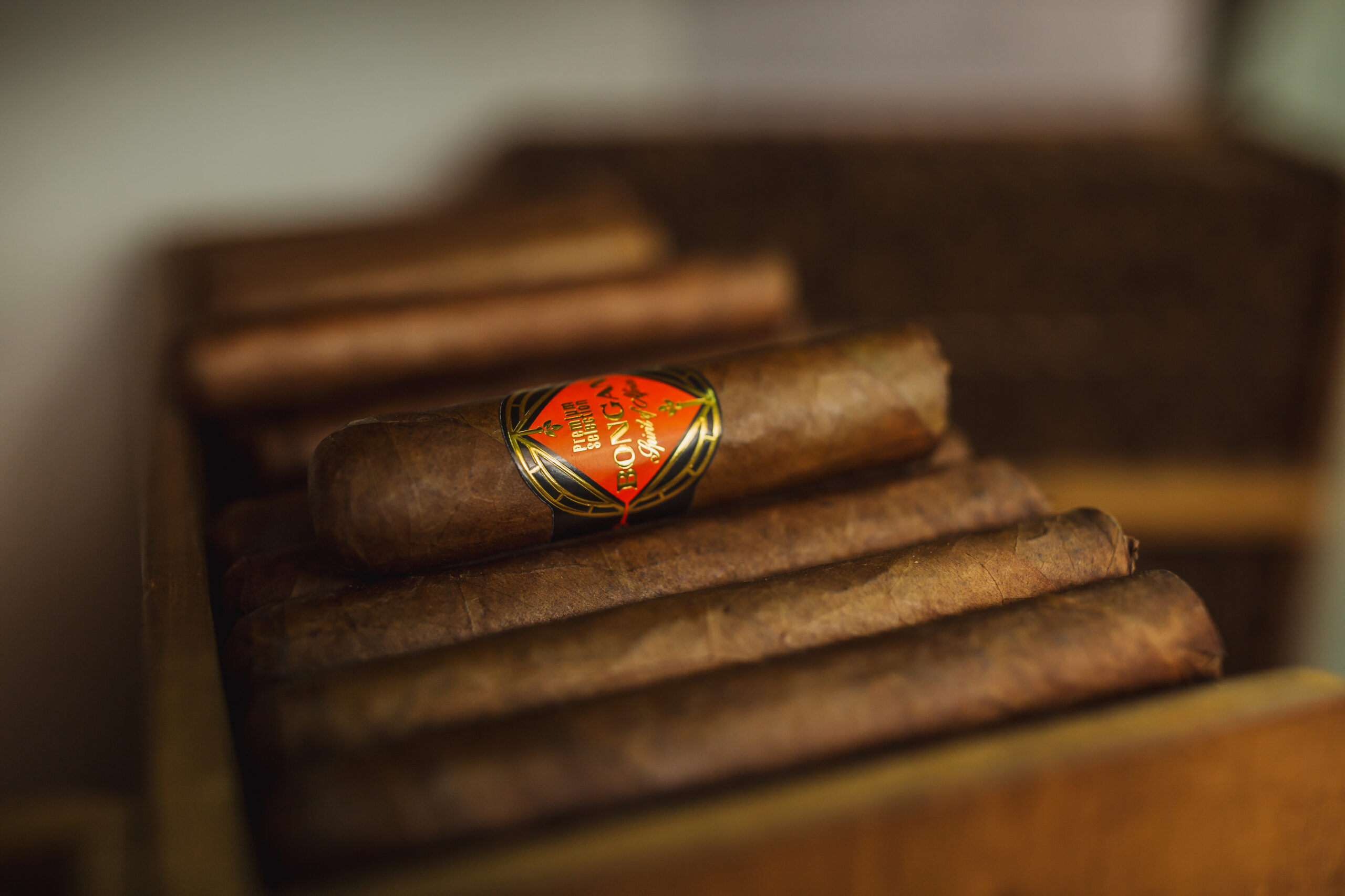 bongani-cigar-samplers-3x-gordo-zigarren-set-mild image 6