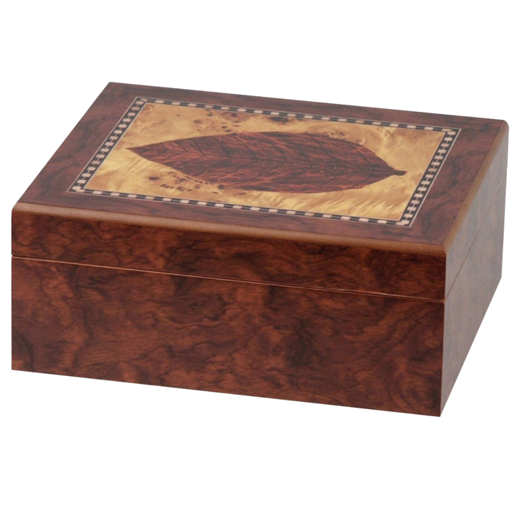 humidor-dekor-blatt-humidor-f-r-25-zigarren-holz image 2